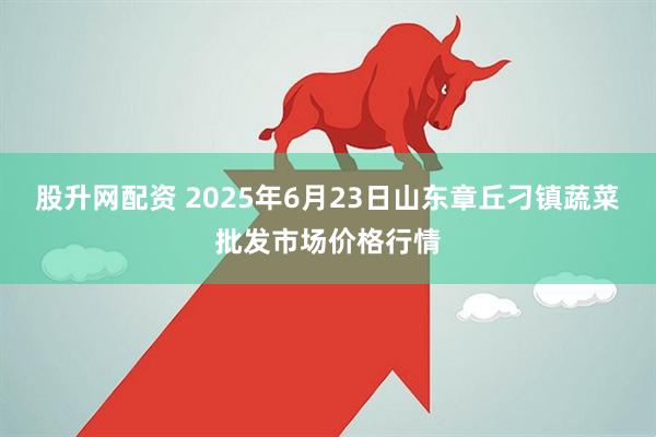 股升网配资 2025年6月23日山东章丘刁镇蔬菜批发市场价格行情
