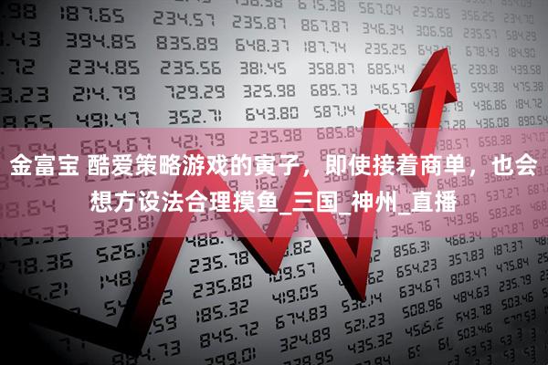 金富宝 酷爱策略游戏的寅子，即使接着商单，也会想方设法合理摸鱼_三国_神州_直播