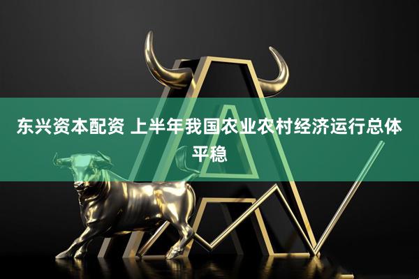 东兴资本配资 上半年我国农业农村经济运行总体平稳