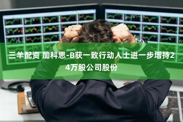 三羊配资 加科思-B获一致行动人士进一步增持24万股公司股份